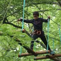Parcours Accrobranche à Curley proche de Dijon (21)