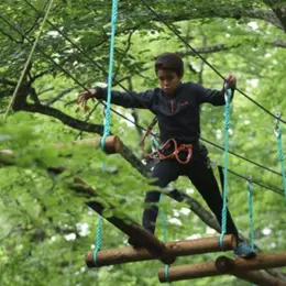 Parcours Accrobranche à Curley proche de Dijon (21)