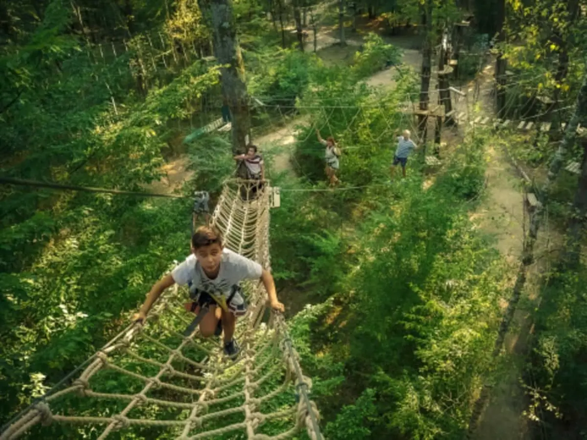 Parcours Accrobranche à Givry (71)