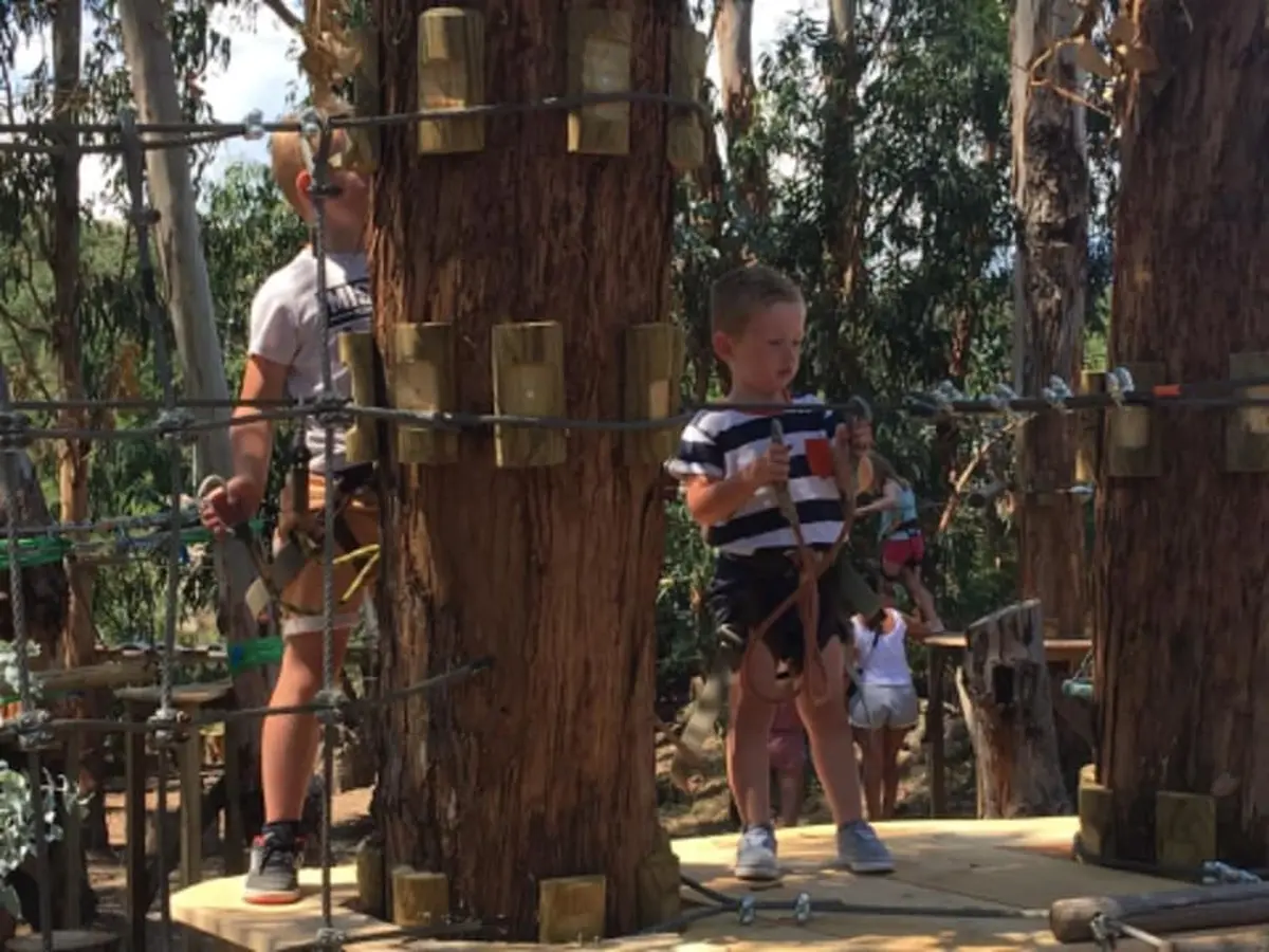 Parcours Accrobranche spécial enfants à Sari-Solenzara (20)