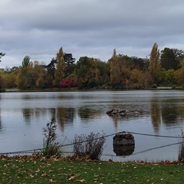 Parcours bien-être dans le Bois de Vincennes : Respirations, méditation, sophrologie