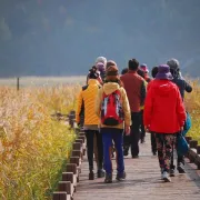 Parcours du cœur