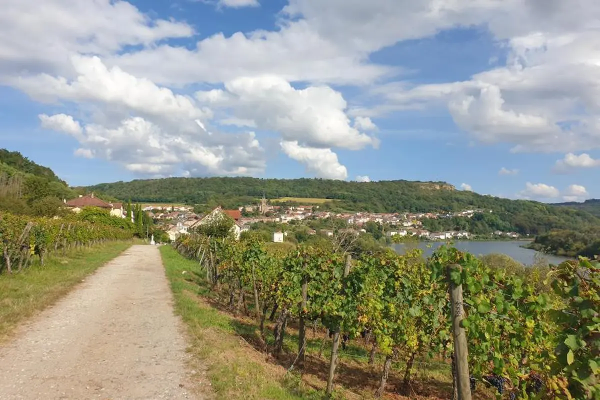 Parcours ludique La quête viticole de Paul