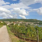 Parcours ludique La quête viticole de Paul