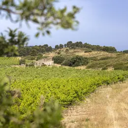 Parcours pédestre du Domaine la Cadenière