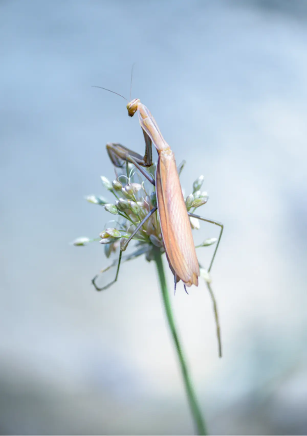Parcours Photographiques