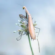 Parcours Photographiques