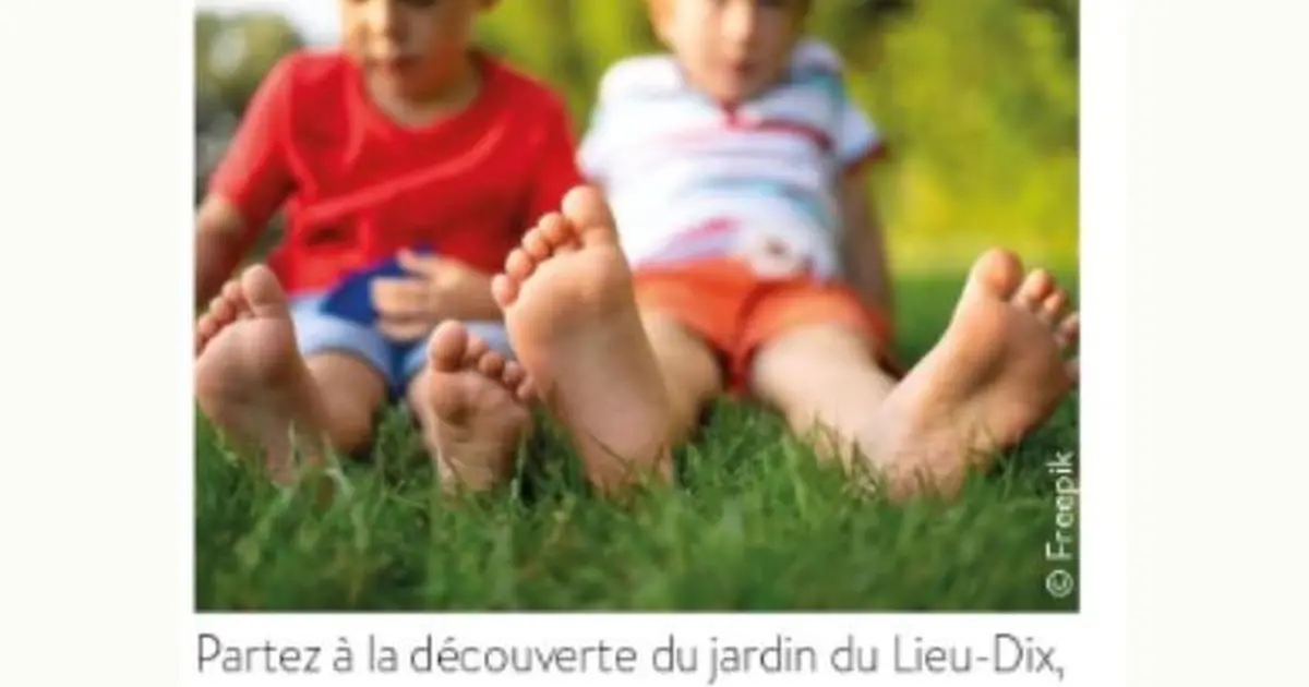 Parcours sensoriel des tout-petits