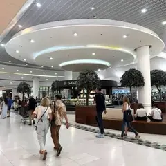 Paridis