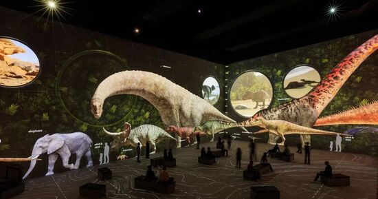 Paris : 7 expositions &agrave; d&eacute;couvrir en mars 2026