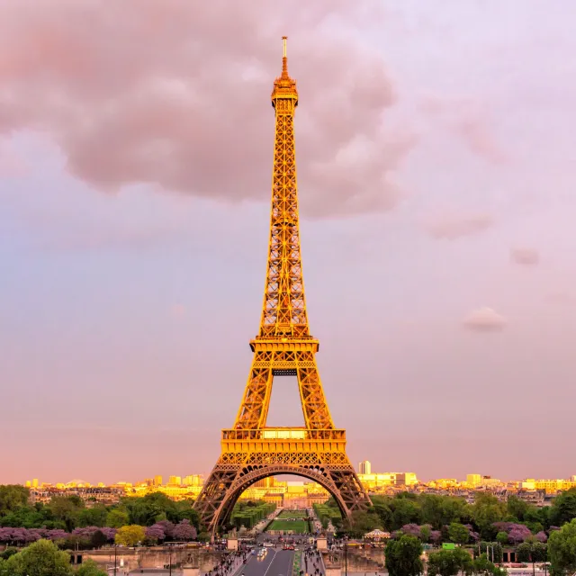 Paris Photo 