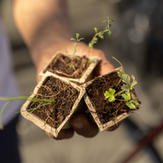 Paris Sème : venez fêter le printemps à l'Hôtel de Ville