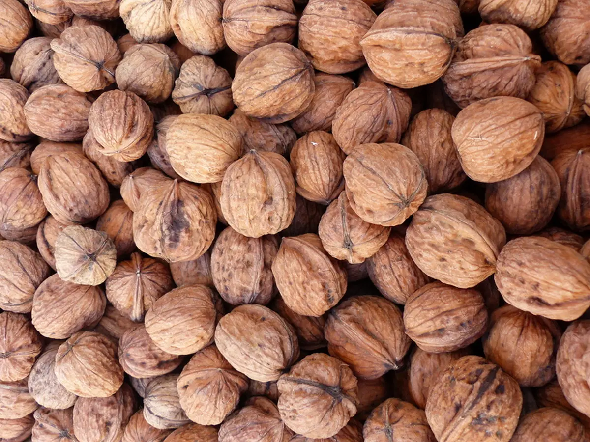 « Parlons fraiseuses » Rencontre pour co-créer l’exposition