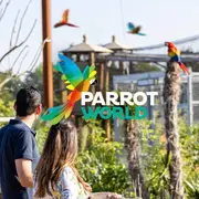 Parrot World : billets journée