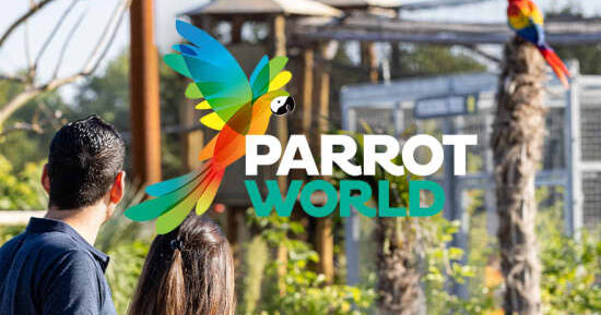 Parrot World : billets journ&eacute;e