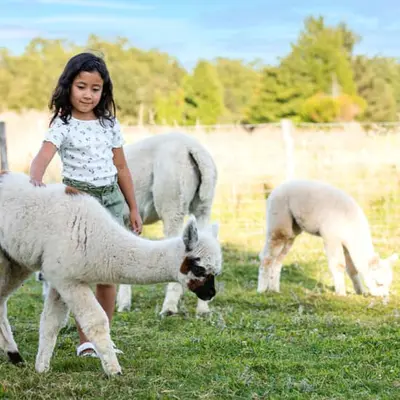 Parrot World : billets pour les expériences immersives