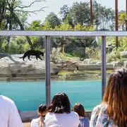 Parrot World : Pass annuel