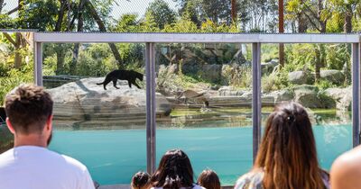 Parrot World : Pass annuel