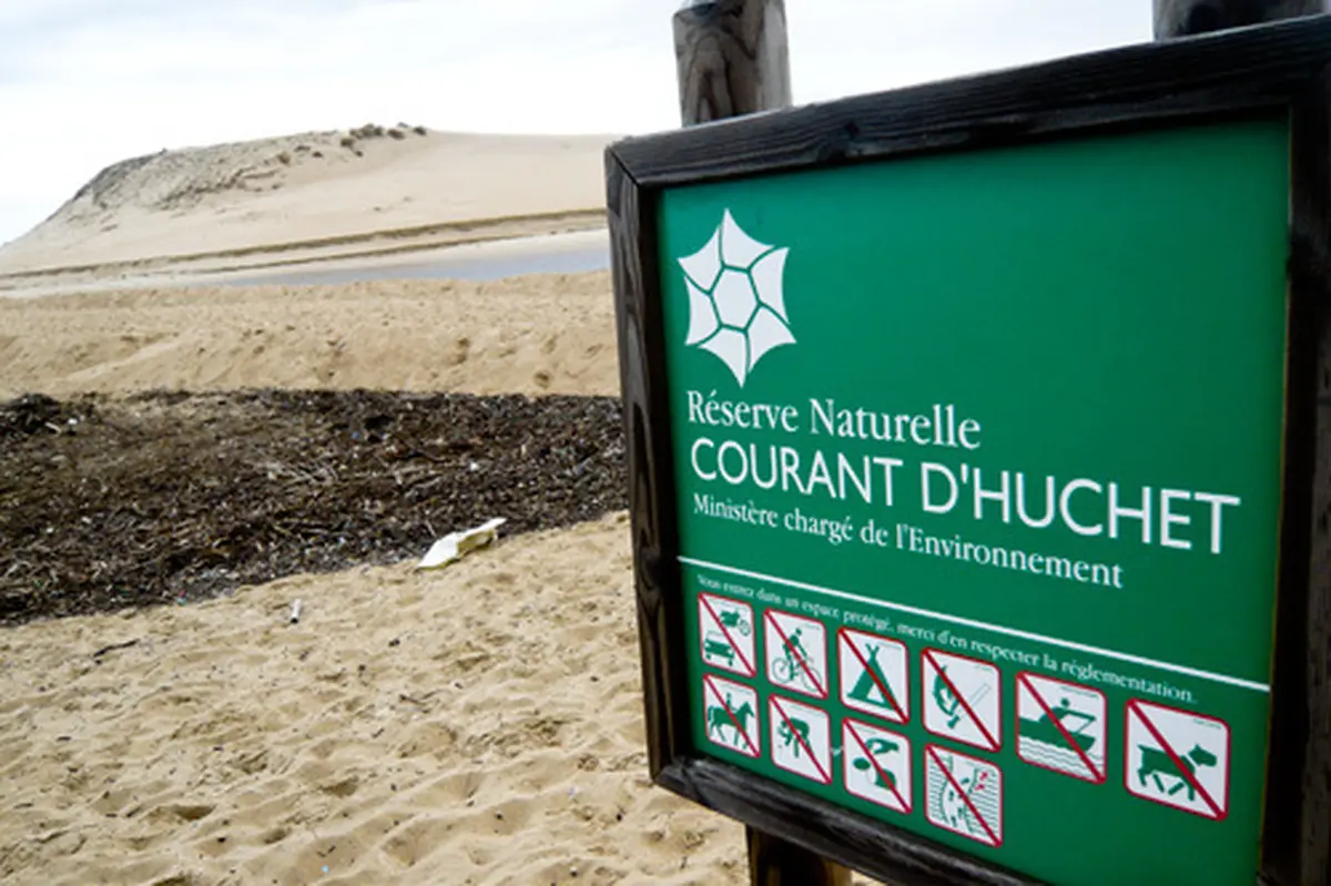 Partez à la découverte de la Réserve Naturelle du Courant d'Huchet