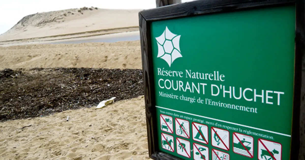 Partez à la découverte de la Réserve Naturelle du Courant d'Huchet