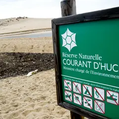 Partez à la découverte de la Réserve Naturelle du Courant d'Huchet