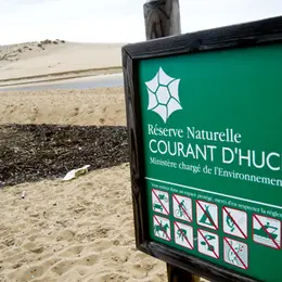 Partez à la découverte de la Réserve Naturelle du Courant d'Huchet