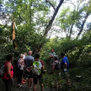 Partez à la découverte de la Réserve Naturelle du Courant d'Huchet