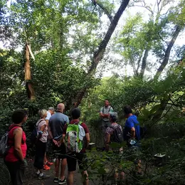 Partez à la découverte de la Réserve Naturelle du Courant d'Huchet