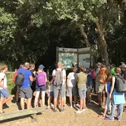 Partez à la découverte de la Réserve Naturelle du Courant d'Huchet