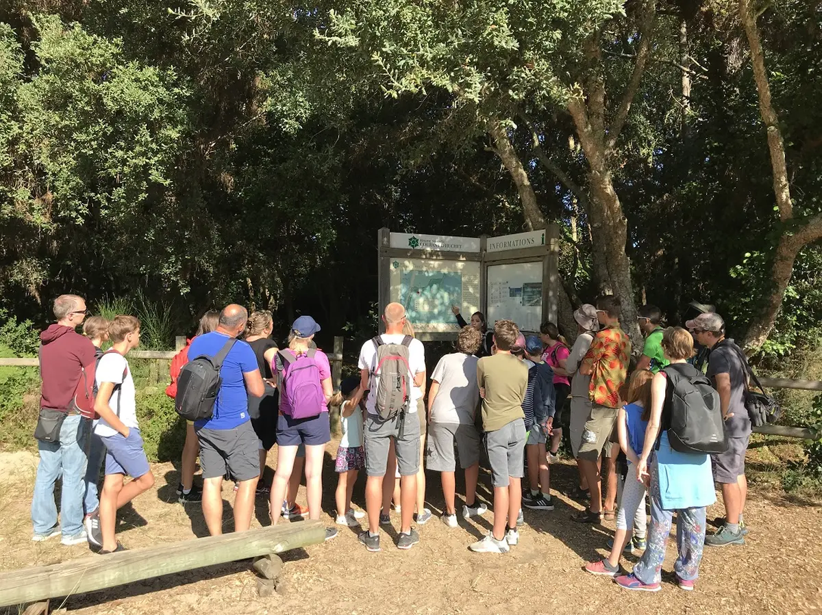 Partez à la découverte de la Réserve Naturelle du Courant d'Huchet