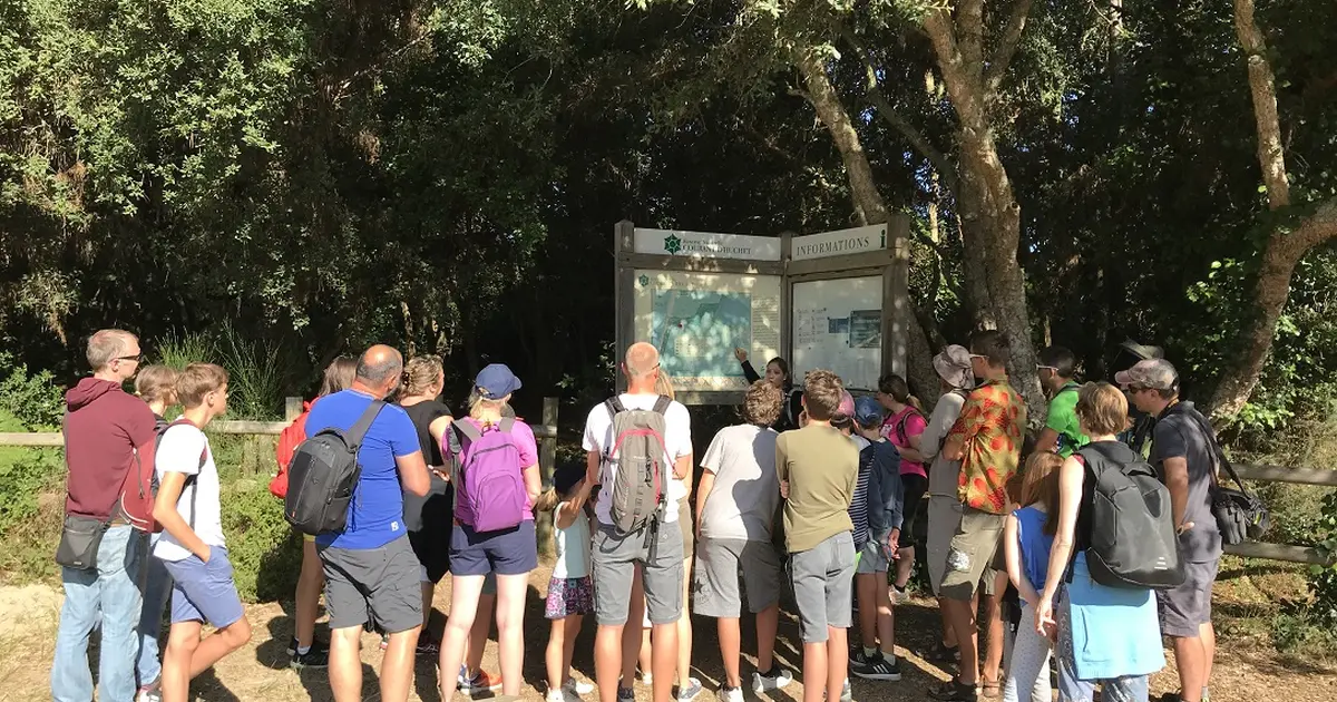 Partez à la découverte de la Réserve Naturelle du Courant d'Huchet