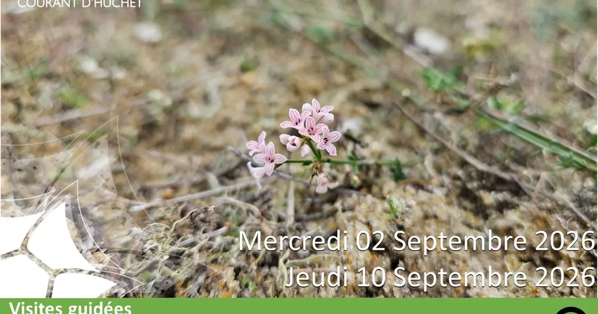 Partez à la découverte de la Réserve Naturelle du Courant d'Huchet