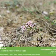 Partez à la découverte de la Réserve Naturelle du Courant d'Huchet