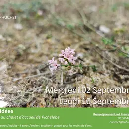 Partez à la découverte de la Réserve Naturelle du Courant d'Huchet