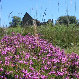 Participer à la préservation de l'espace naturel sensible du Mont Gargan
