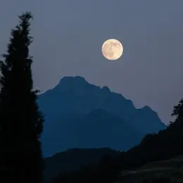 Partie géante de Loups-Garous