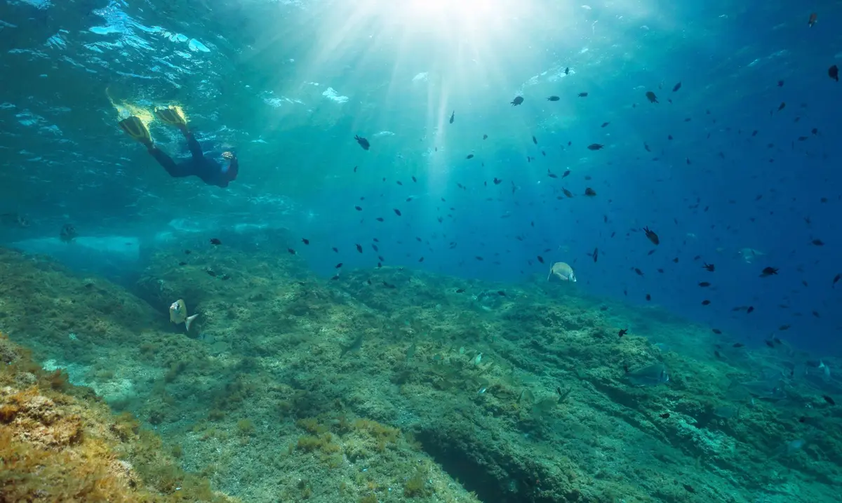 Pas besoin de partir aux Caraïbes : les 12 plus beaux spots de snorkeling en France