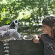 Pass 4 parcs près de Poitiers dans la Vienne (86)