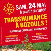 Passage d'un troupeau de la transhumance