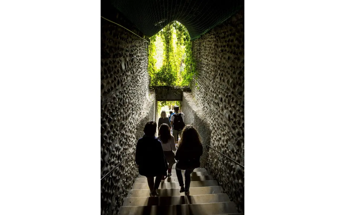 Passages et galeries du coeur de Pau