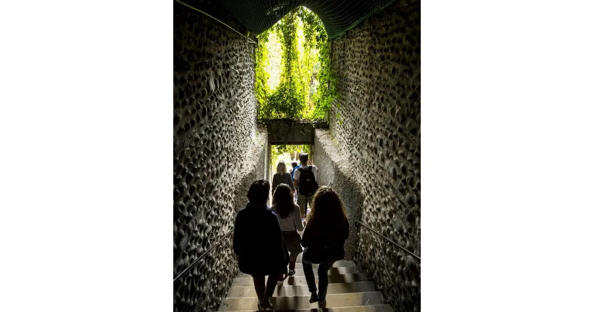 Passages et galeries du coeur de Pau