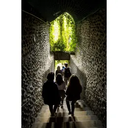 Passages et galeries du coeur de Pau
