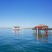 Passe Marée Tour de l'île aux oiseaux