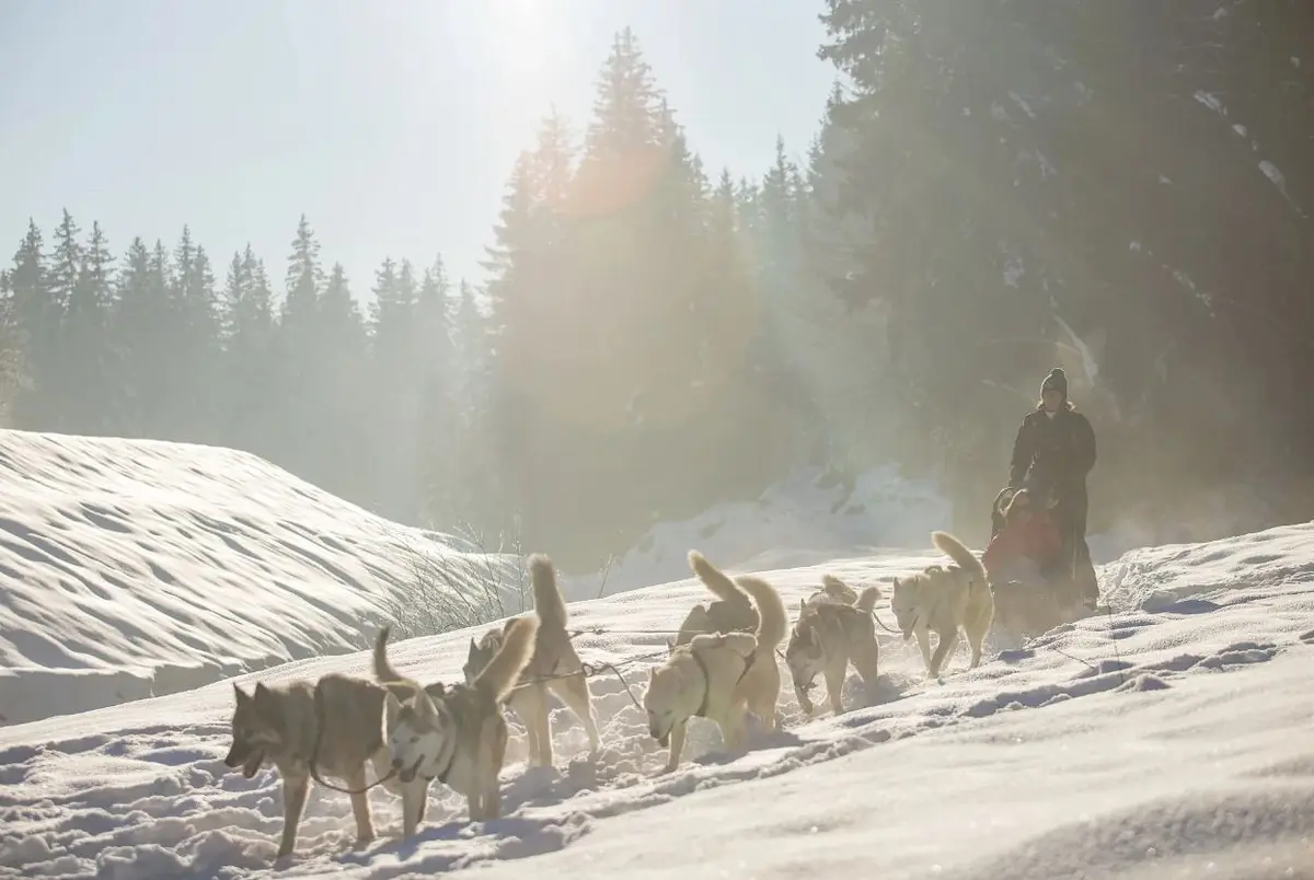 Vivez la montagne à fond à Passy