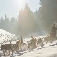 Vivez la montagne à fond à Passy DR