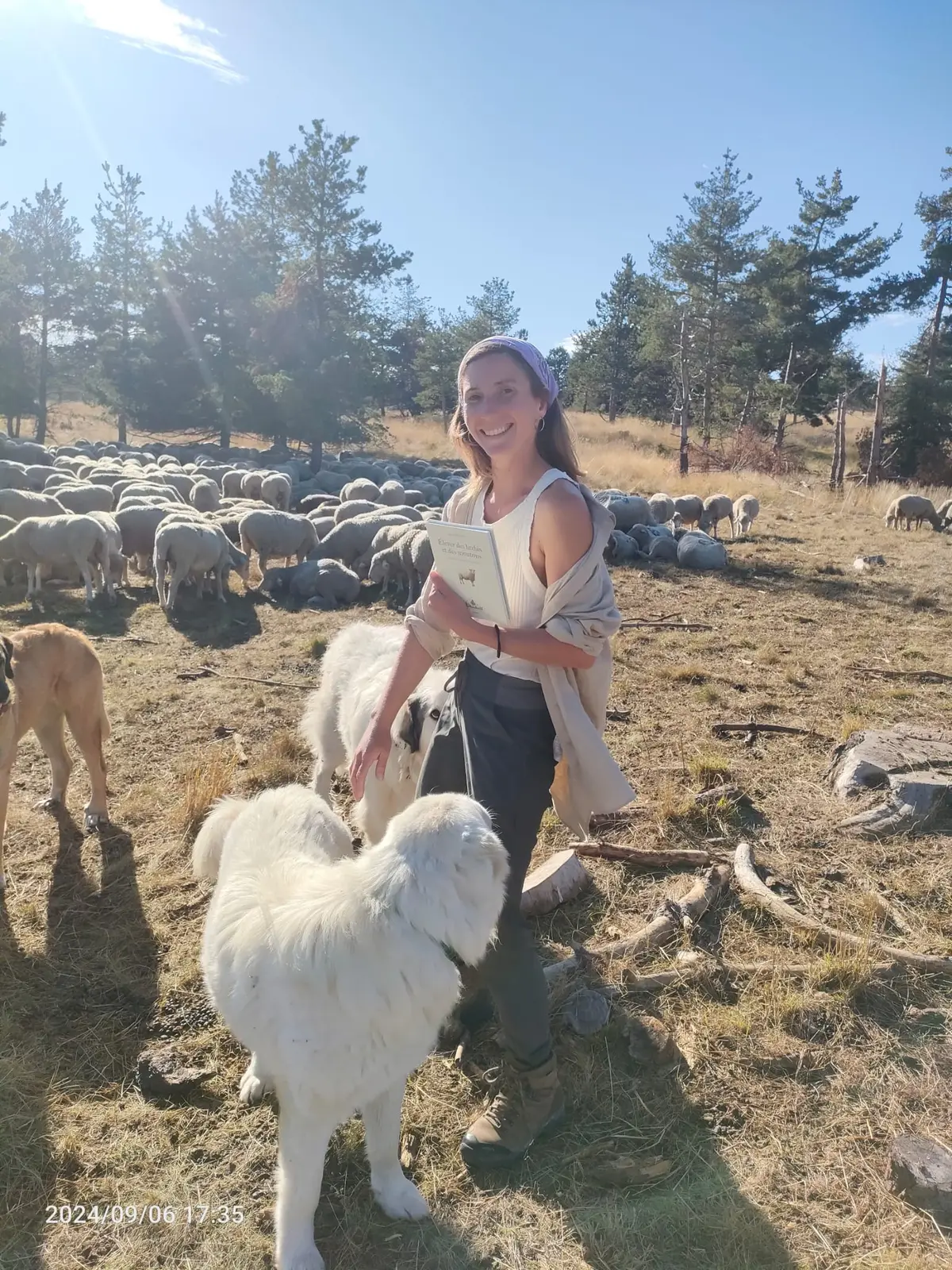 Pastoralisme d’aujourd’hui, du mouton à la laine