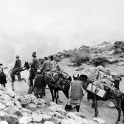 Pastoralismes en Iran et au Moyen-Orient : bergers en itinérance