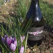 Patrimoine et savoir-faire : Montlouis-sur Loire et Du safran et des vignes