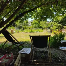 Patrimoine et savoir-faire : Reugny et le jardin du Brin de Folie