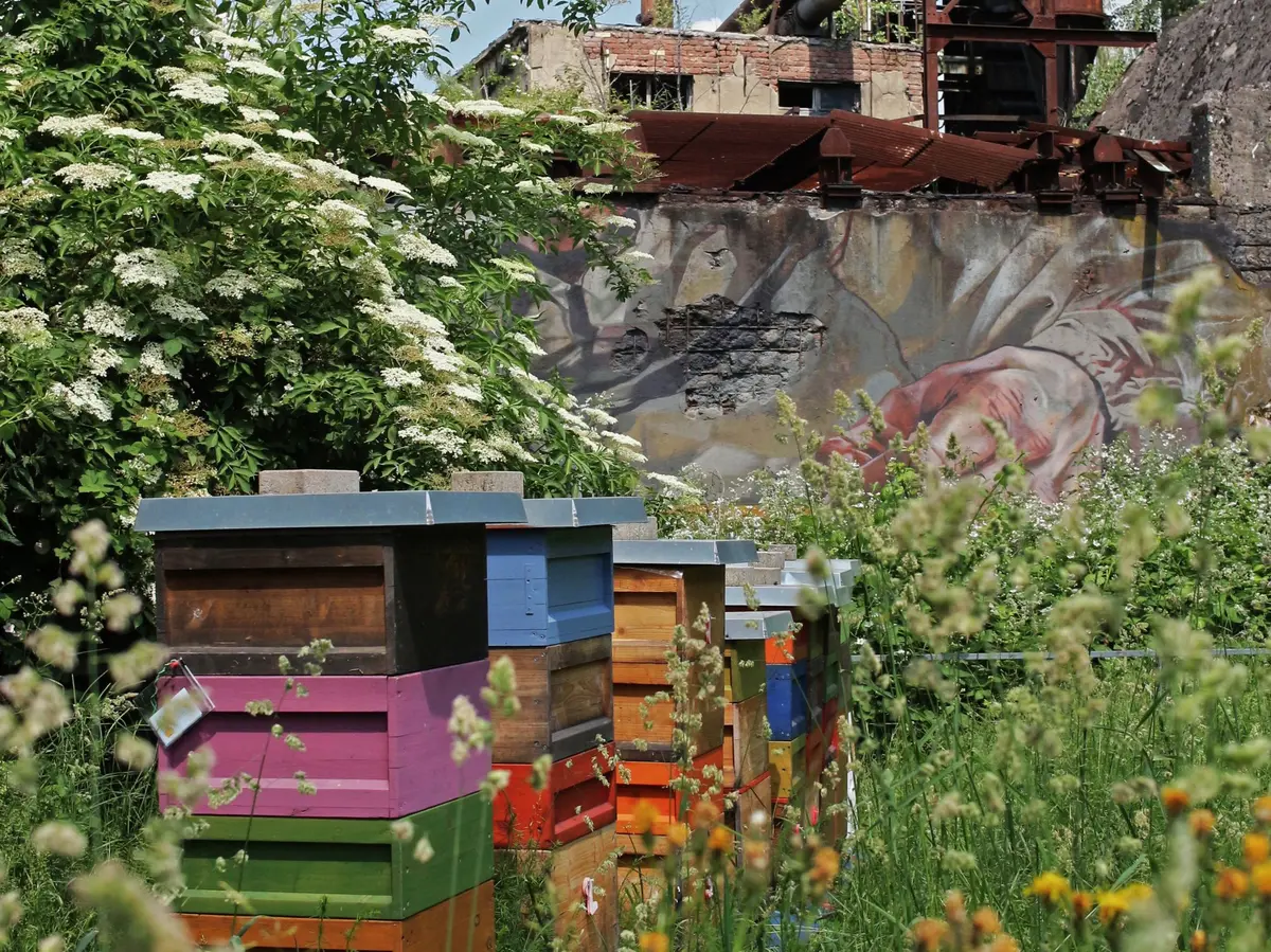 Le PARADIS : culture industrielle, nature, art